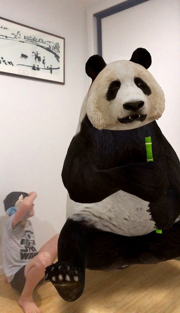 AR with a Panda