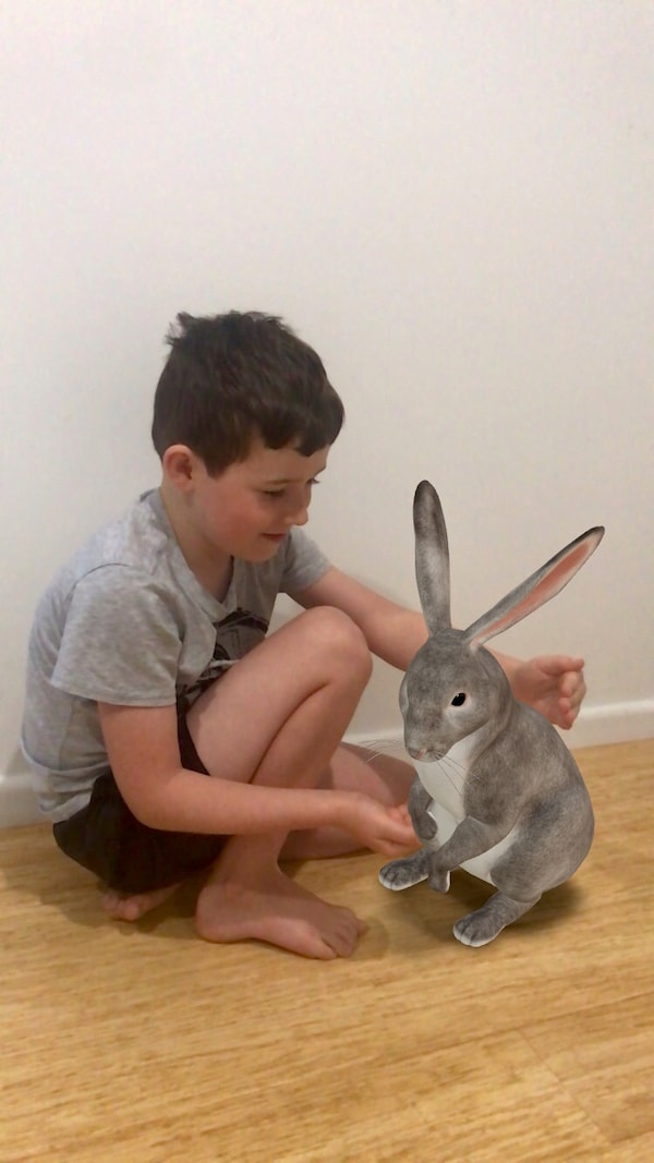 AR with a Rabbit 2