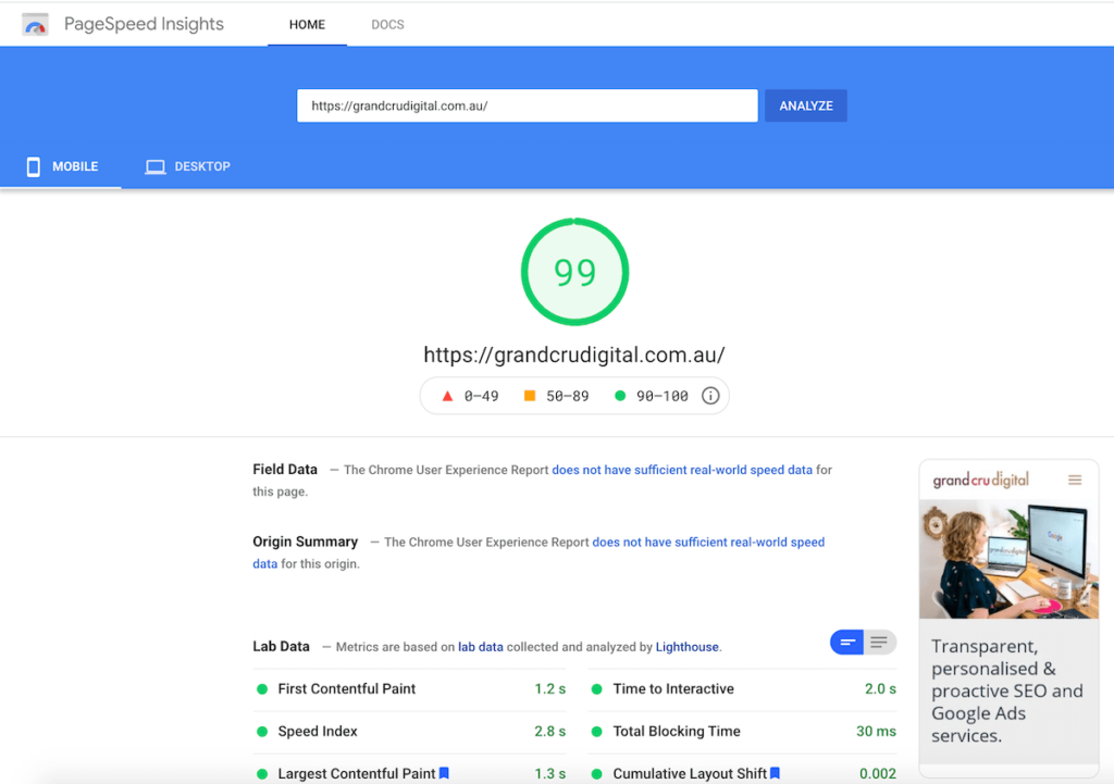 Google Page Speed Insights for Grand Cru Digital Blog Post