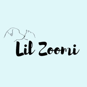 Lil Zoomi