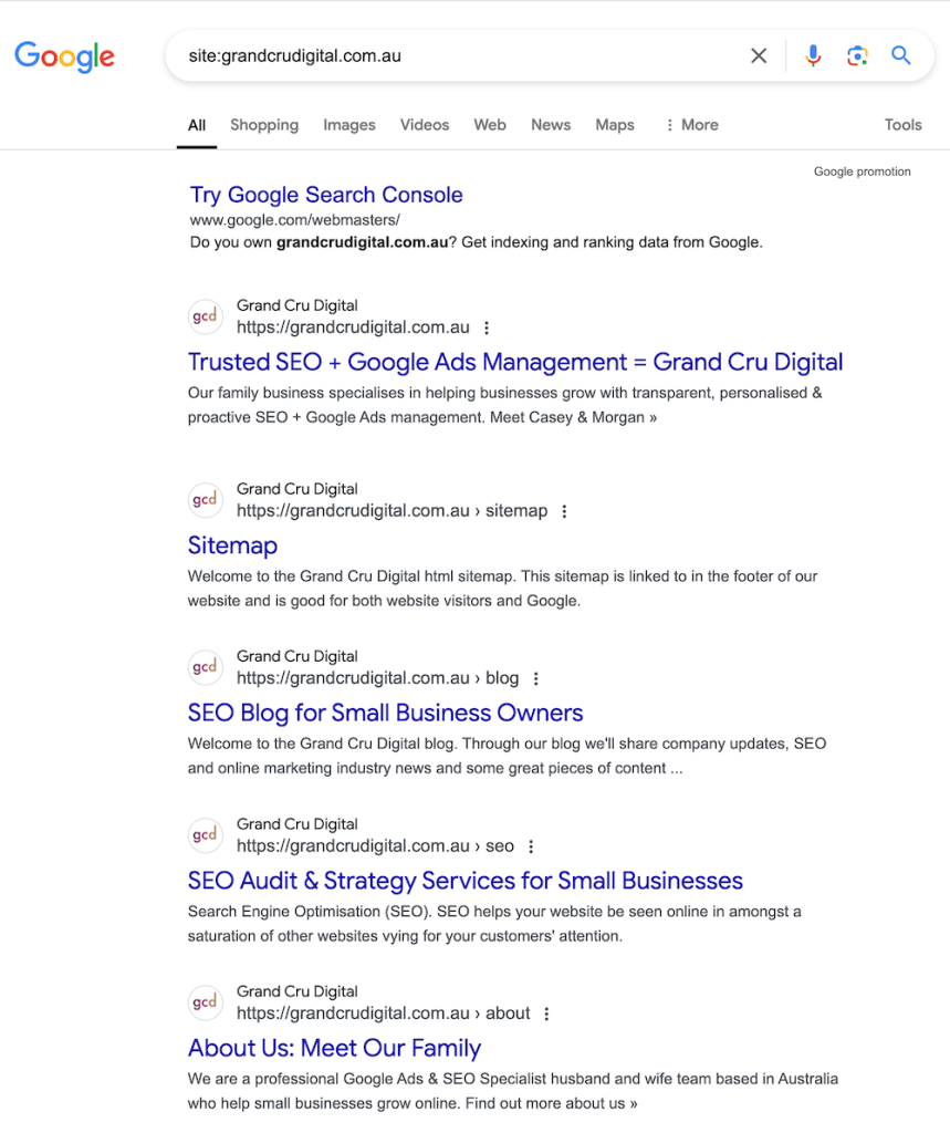 Site search on google